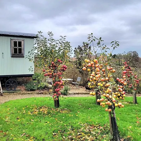 度假居 Plank Bridge Shepherds Hut In Orchard - Peaceful Escape For Two *