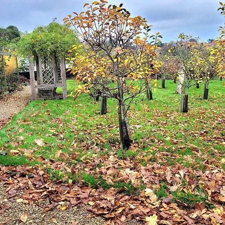 Сasa de vacaciones Plank Bridge Shepherds Hut In Orchard - Peaceful Escape For Two *