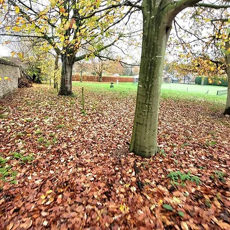 Plank Bridge Shepherds Hut In Orchard - Peaceful Escape For Two East Ayton